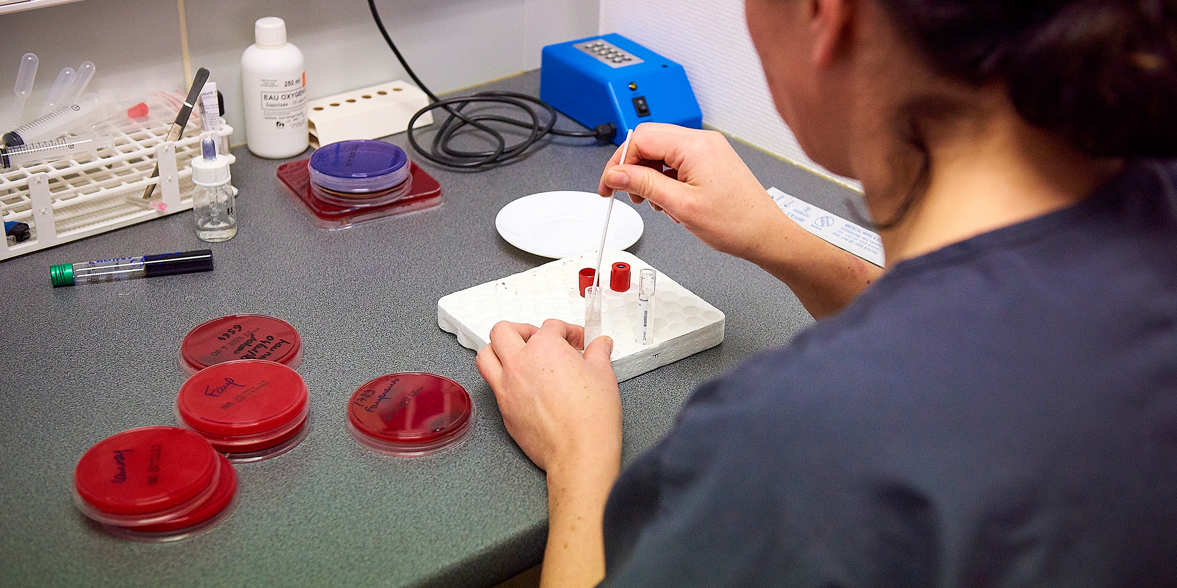 Les Vétérinaires du Bocage, laboratoire d'analyses